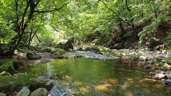                                                                             한여름이면 더위를 피해 탐방객들이 많이 찾아온다(사진촬영 : 윤지태 기자)
