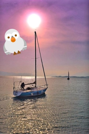   인생 2막은 솟아오르는 아침해처럼 찬란하리라.(사진제공 : 네이버 ) 