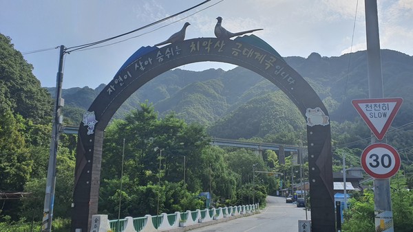                금대계곡 입구. 현재 중앙선 폐선로이며 트레킹이 가능한 백척교가 멀리 보인다.(사진촬영 : 김경섭 기자)