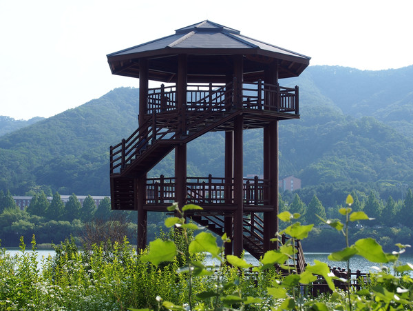      매지호수 전망대에서 주변의 경치를 감상할 수 있으며, 다양한 호수 생명체를 탐조할 수 있다.(사진촬영 : 서홍렬 기자)