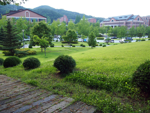                 강의동과 중앙도서관. 붉은색 벽돌로 시공되어 고풍스런 매력을 풍기고 있다.(사진촬영 : 서홍렬 기자)