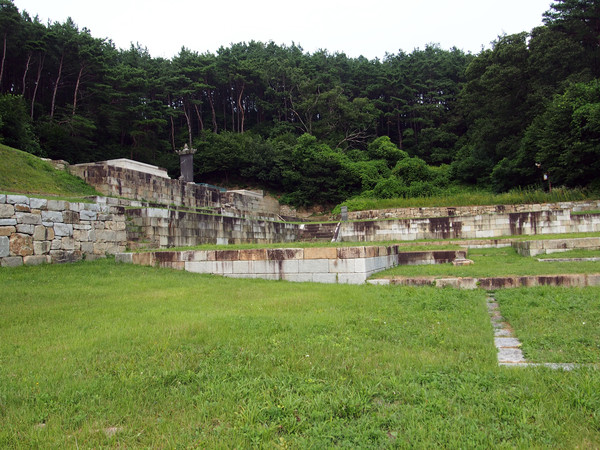                                  지광국사현묘탑비가 위치한 곳. 소나무숲이 매우 아름답다.(사진촬영 : 서홍렬 기자)