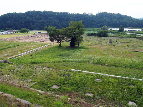                                         법천사지 전경. 유적지 발굴이 상당히 진행되어 있다.(사진촬영 : 서홍렬 기자)