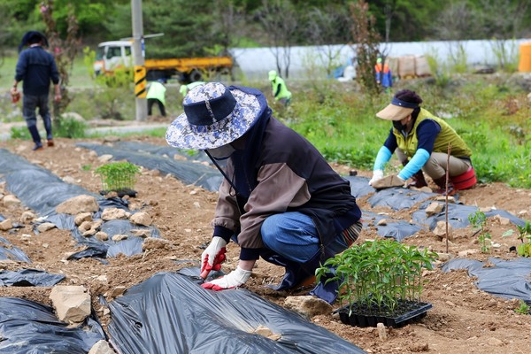 [사진제공 : 강원랜드]