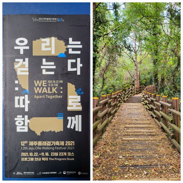 [제12회 2021 올레걷기 축제 포스터 사진 = 김영통 기자 제공]