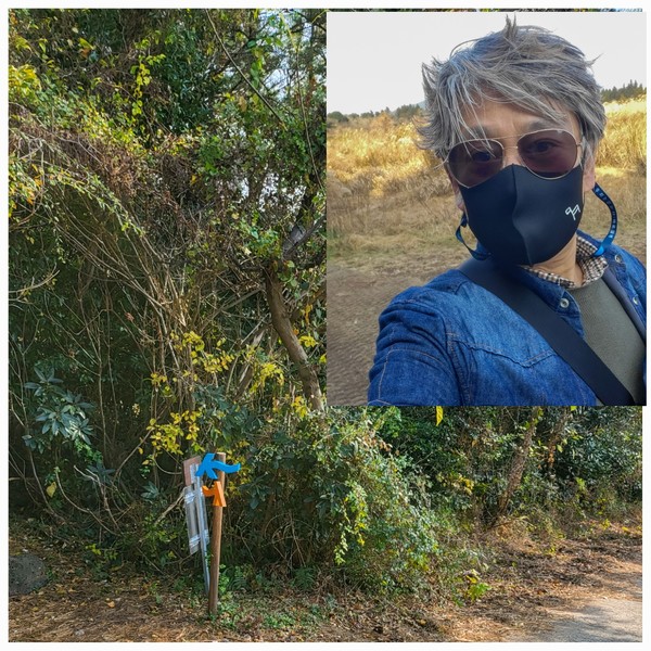 [올레길 이정표와 필자 = 김영통 기자 제공]