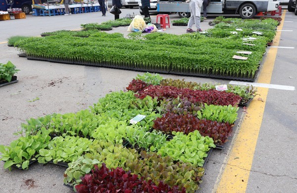 원주 농업인새벽시장