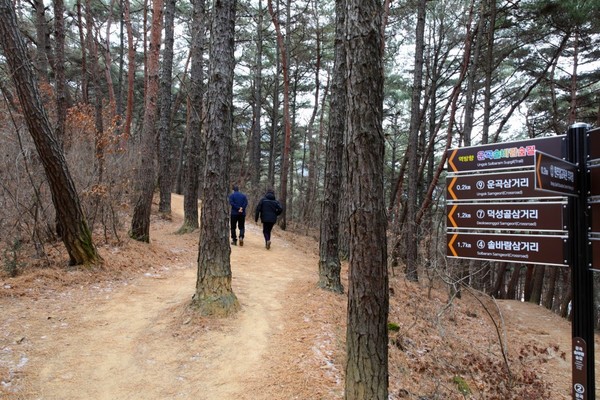 운곡솔바람숲길