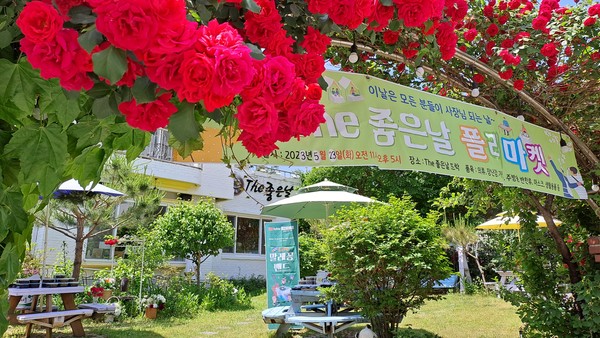 카페 전경과 행사 현수막 그리고 장미       (사진촬영 김영희)