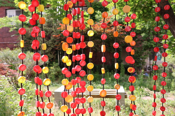 병뚜껑 정원​​​​사진 김모니카