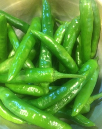 사진 : 최개헌기자 제공