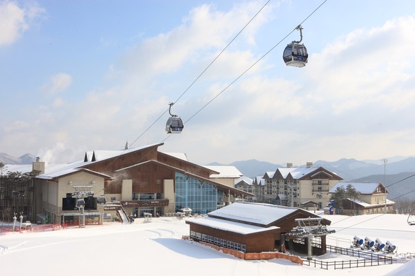 하이원리조트 공지사항