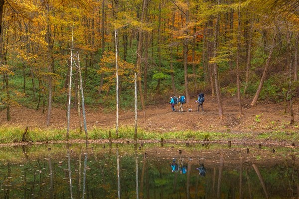 강원랜드 보도자료