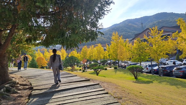                                    가을 속을 산책하는 이경옥 시인님                                                       촬영: 김영희 기자