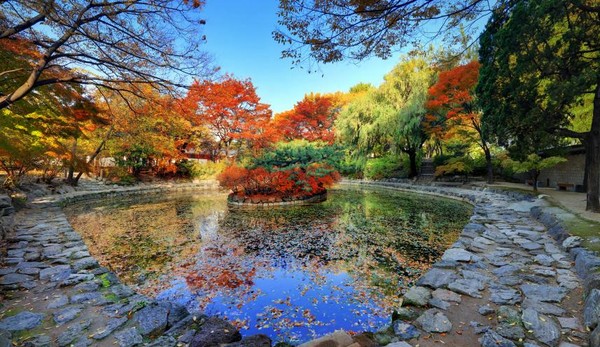 [덕수궁 연못 전경  사진 = 문화재청 제공]