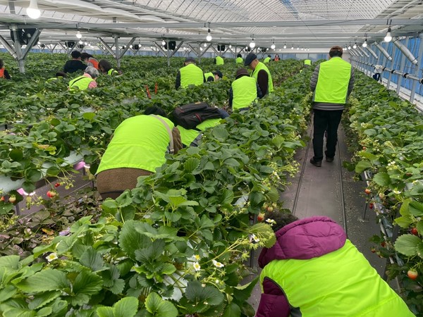 (사진: 원주시청 제공)